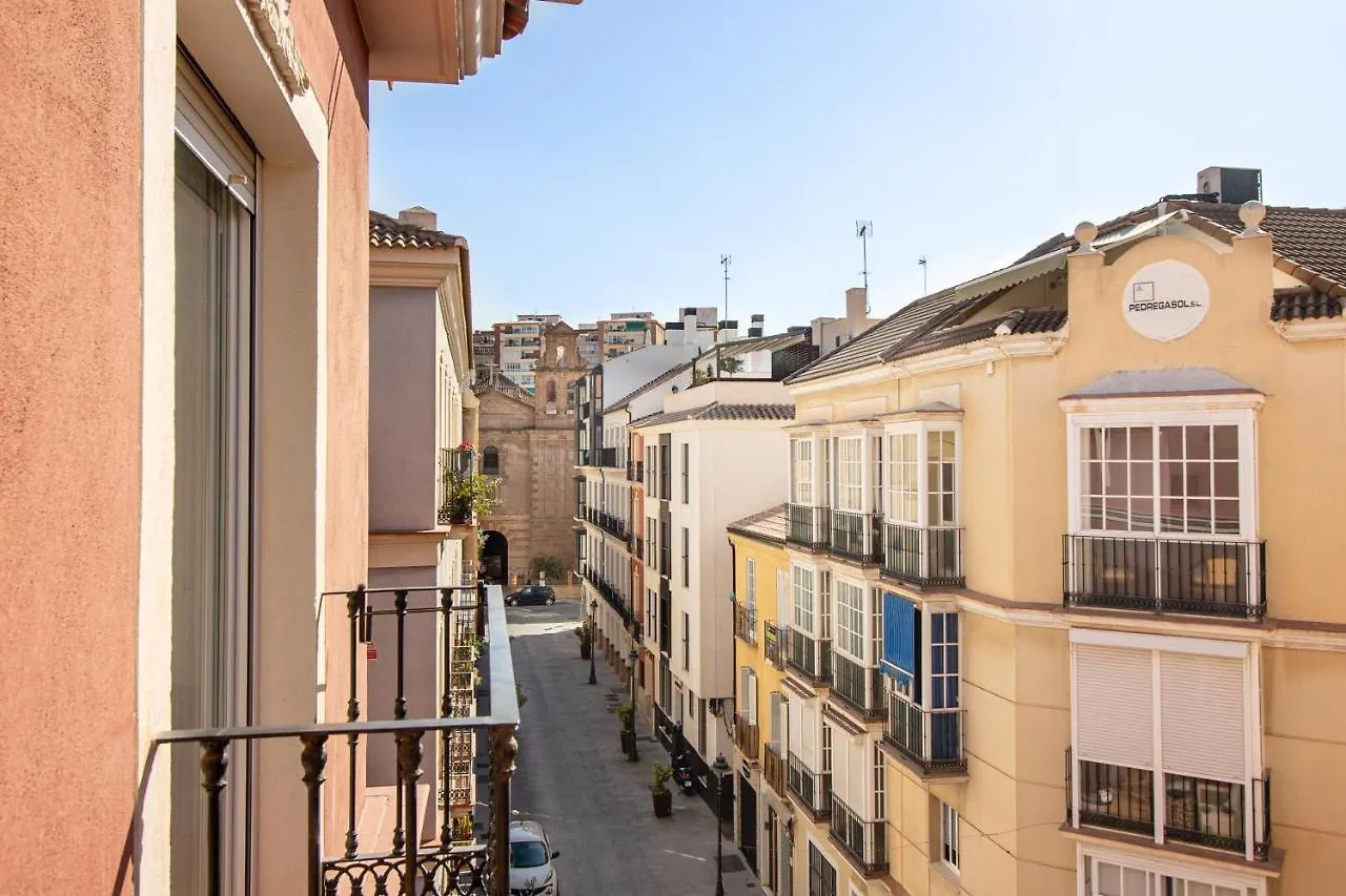 Malaga Center Flat. Carmen City Center Roof-Terrace Boutique Španělsko